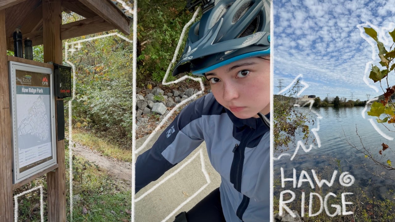 исследовать хребет Хоу и заблудиться