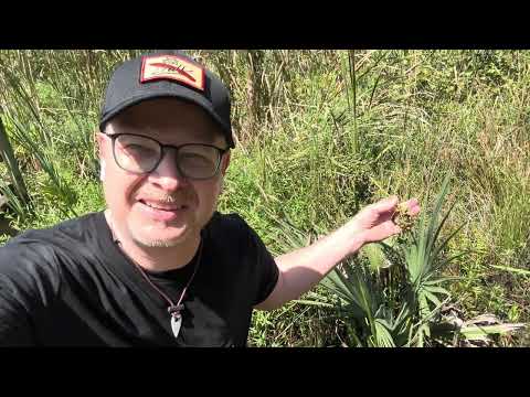 Foraging and Storytime with Sarge!