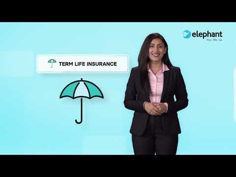 #ElephantInsurance | Term Life Insurance