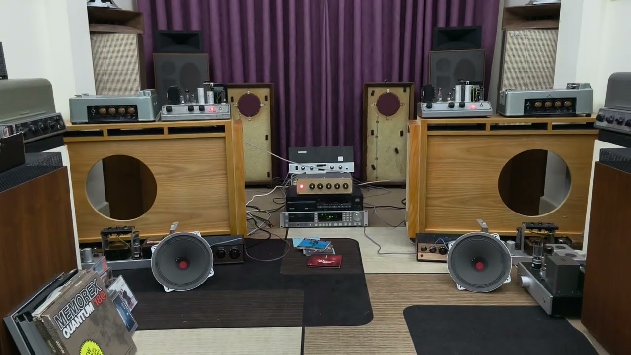 Telefunken Ela L8 1262 DEWアルニコ 10インチ Ela L8/1262 Telefunken