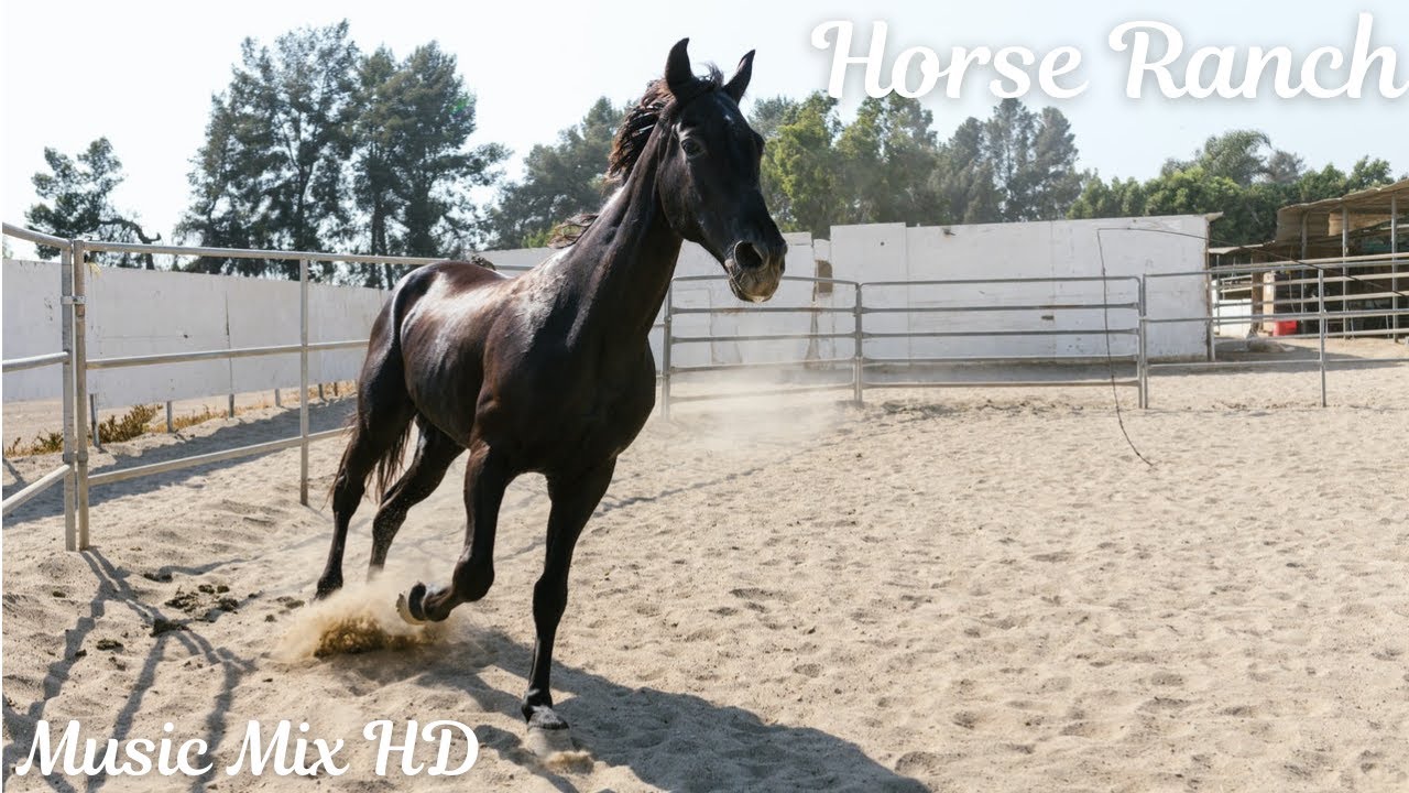 Relaxation Music - Horse Ranch Music