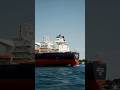 Bulk carrier ship ⚓ #ship #shorts #bulkcarrier #sailing