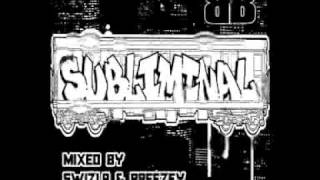 24 - SUBLIMINAL - DR CRYPTIC - NOGGIN THE NOG