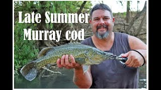 Late summer Murray cod fishing with a predator lure screenshot 2