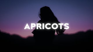 Video thumbnail of "MAY-A - Apricots (Lyrics)"