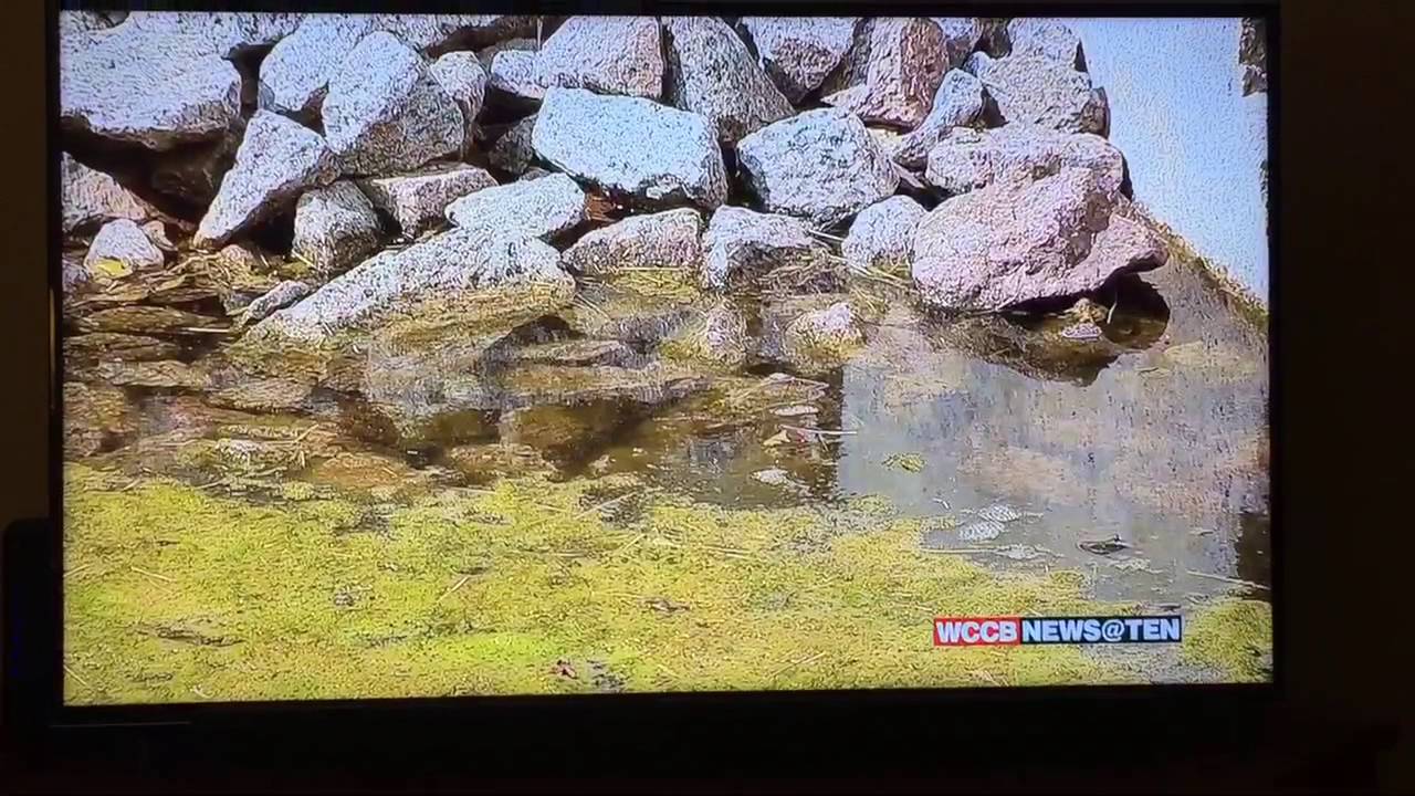 Buyer Beware...This will happen to you if you buy from CalAtlantic Homes