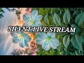 Silent Live stream