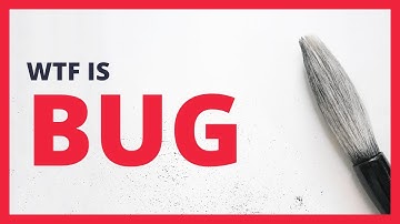 🐞 What Is Defect Or Bug | Localization Basics