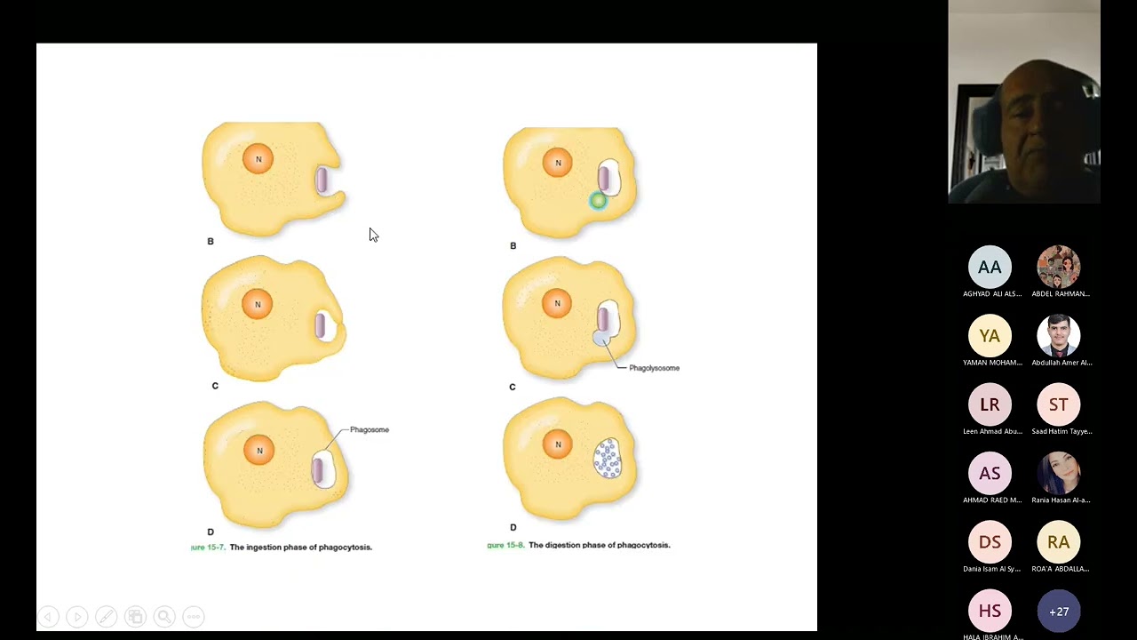 Specific Immune Response 20220103 145806 Meeting Recording Part1