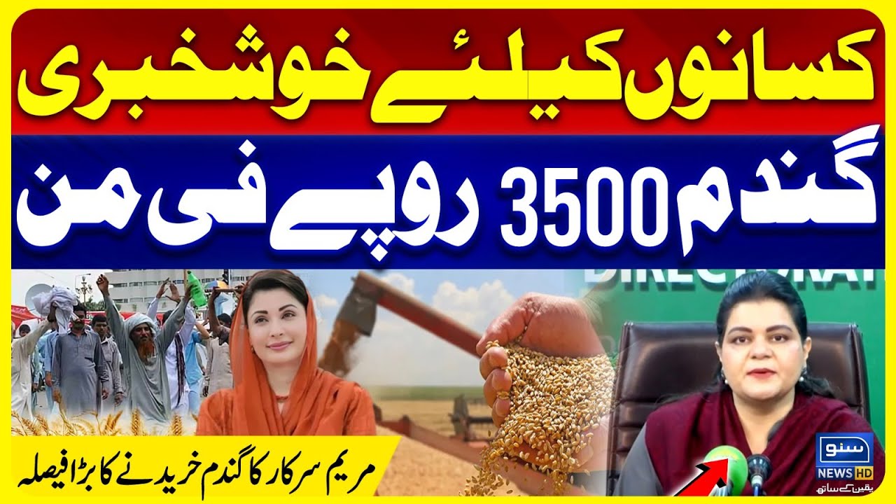 Good News for Farmers: Wheat Price Set at Rs 3500 per Maund | Punjab unveils Wheat Policy 2026