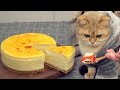 New York Cheesecake - 超濃厚ニューヨークチーズケーキの作り方