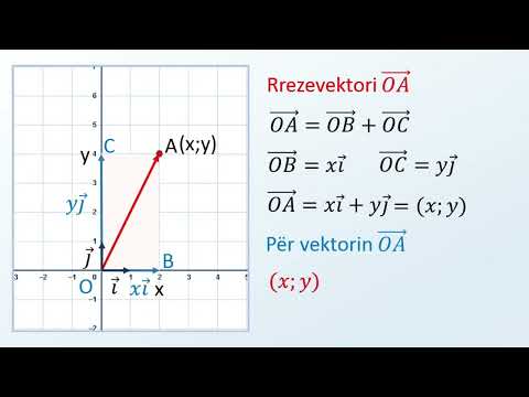 Video: Si Kombinohen Vektorët Në Psikikën Njerëzore