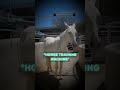 Horse Outsmarts The Machine❤️