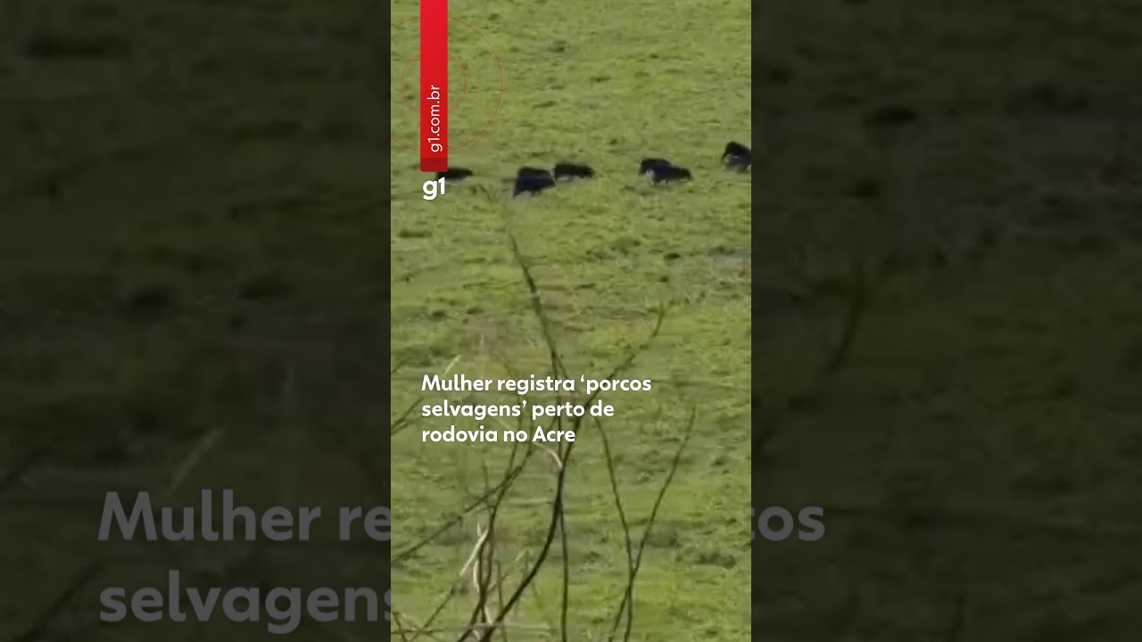 YouTube player
