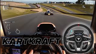 Thrustmaster T248 in KartKraft.