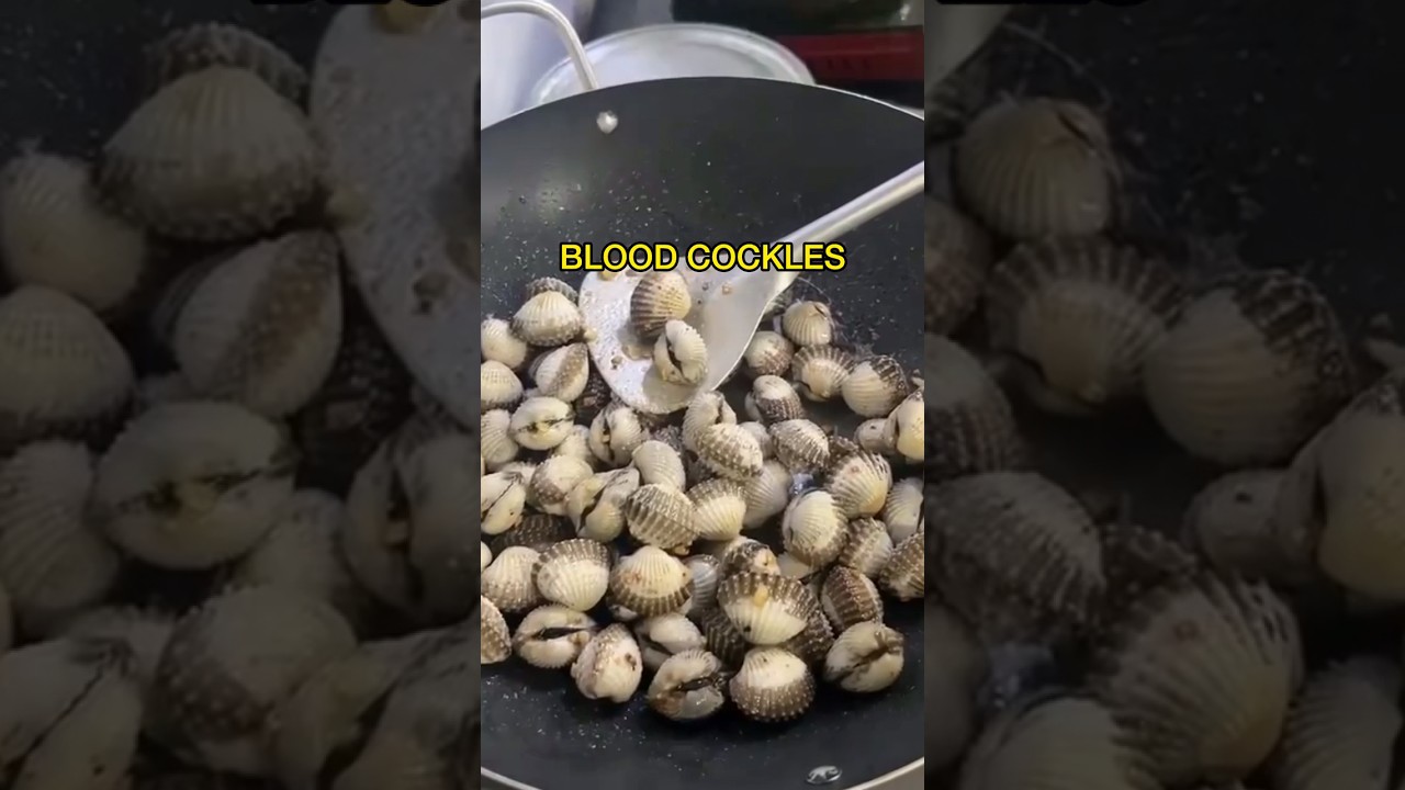 Asmr Let’s cook blood cockles - clams/ Sò huyết