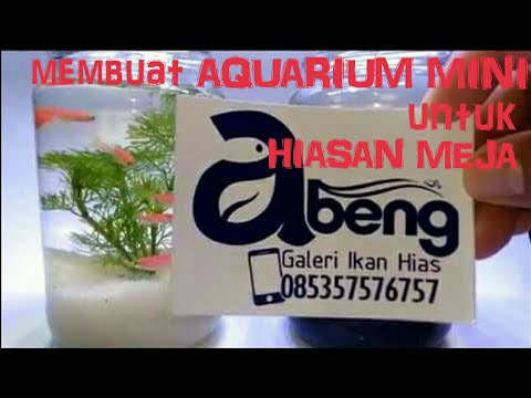 MEMBUAT AQUARIUM  MINI  UNTUK HIASAN MEJA  YouTube