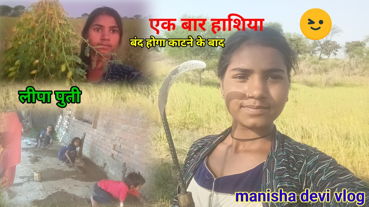 आज से हाशिया ⛏️ उठ गया अब बंद हो फसल काटने के बाद manisha devi vlog 