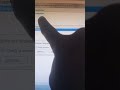 Page layout