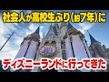 社会人が高校生ぶりにディズニーランドに行ってみた