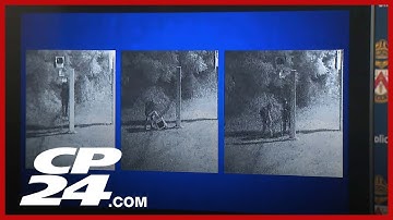 Police release suspect images in Parkside Drive camera vandalism as 16 other cameras are damaged