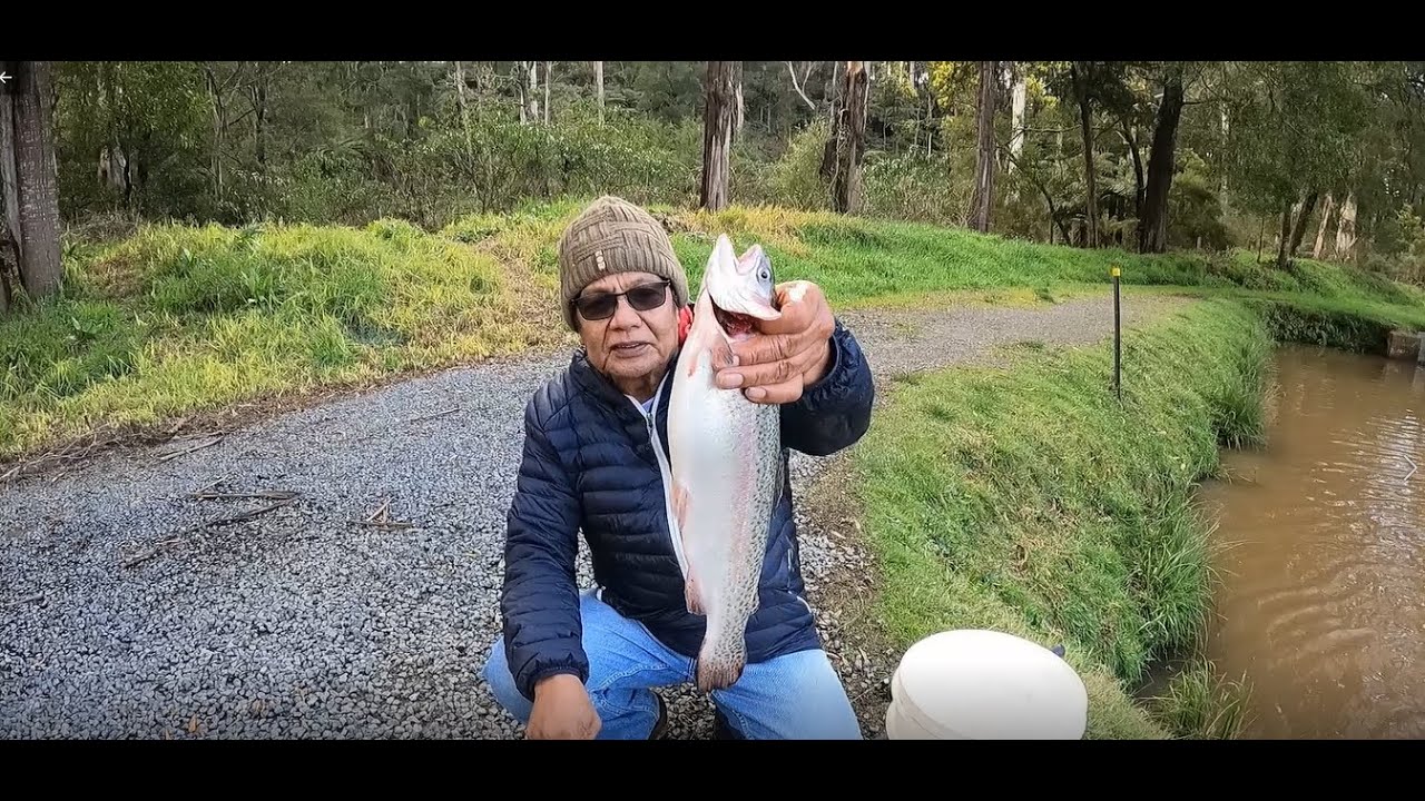 AUSTRALIAN TROUT FARM IN VICTORIA YouTube