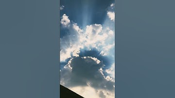 سورة القصص ، القارئ رعد محمد الكردي ✨