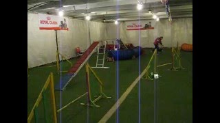 Muha/ Fly /in training