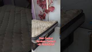 Bed Bugs Service #ad #pestcontrol #ytshorts
