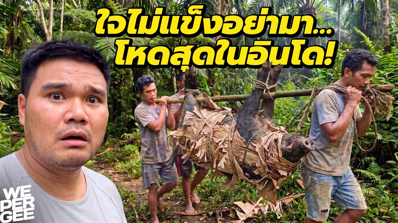 Latest Title & Thumbnail