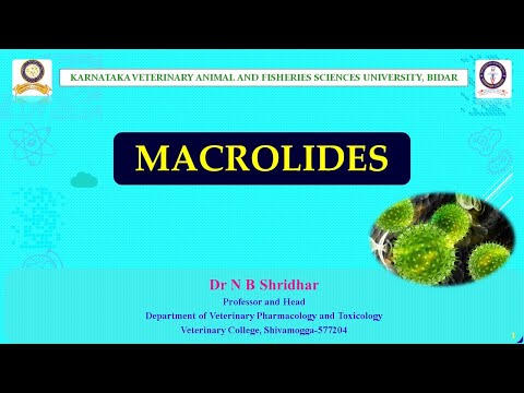 MACROLIDE ANTIBIOTICS:INTRODUCTION      Dr N B Shridhar