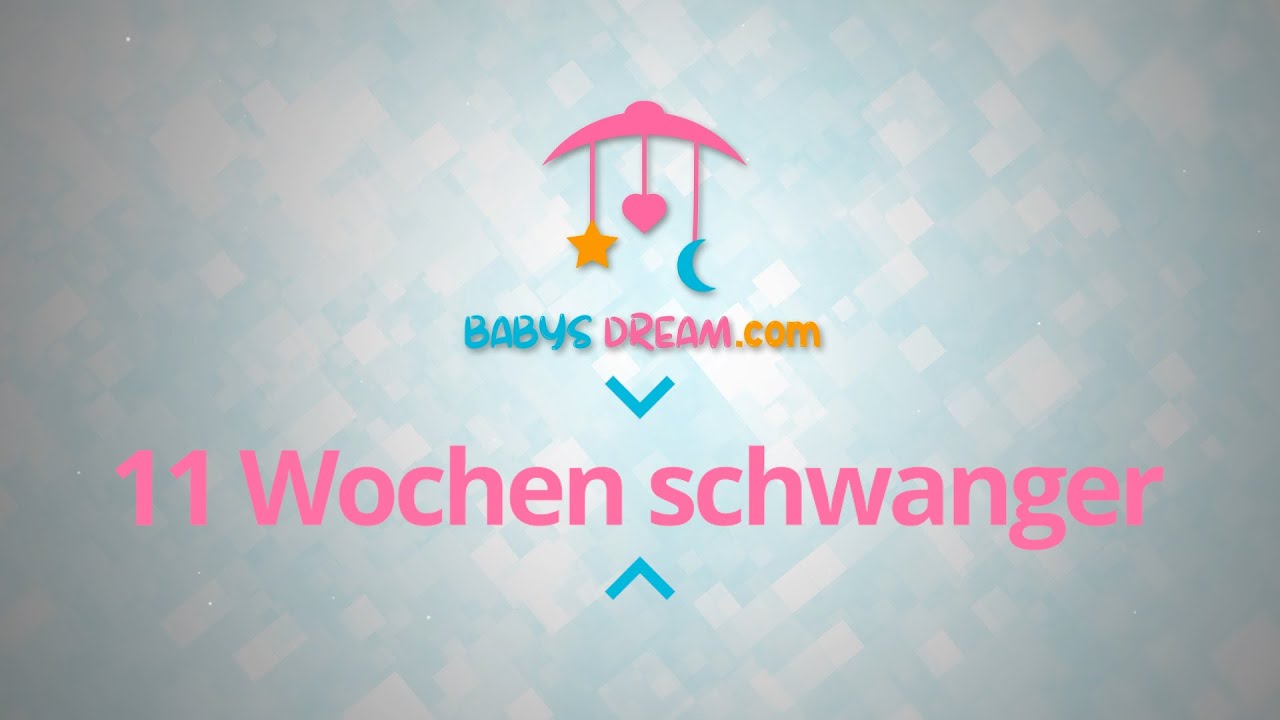 11. SSW 11 Wochen schwanger | Schwangerschaft Anzeigen und Symptome