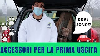 TIPs: ACCESSORI Utili Per la Prima Passeggiata e consigli sul trasporto in Auto!