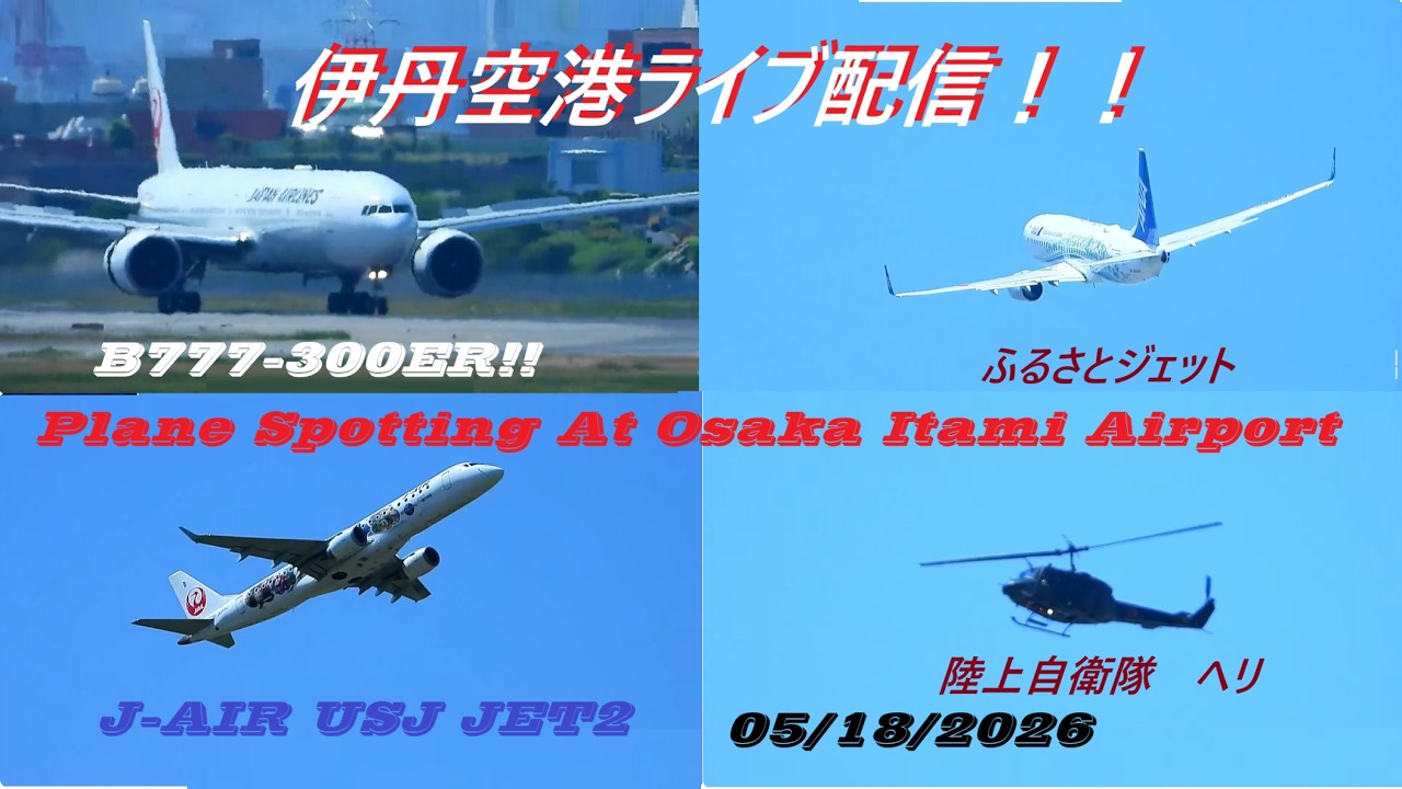 退役間近!!JAL B777-300ER JA738J 飛来！天草エアライン・みぞか号