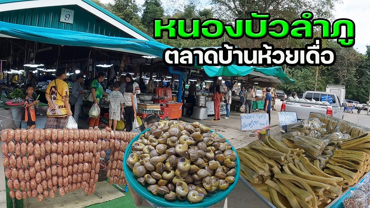 เดินตลาดของป่า…ของแปลก…ตลาดห้วยเดื่อ จังหวัดหนองบัวลำภู