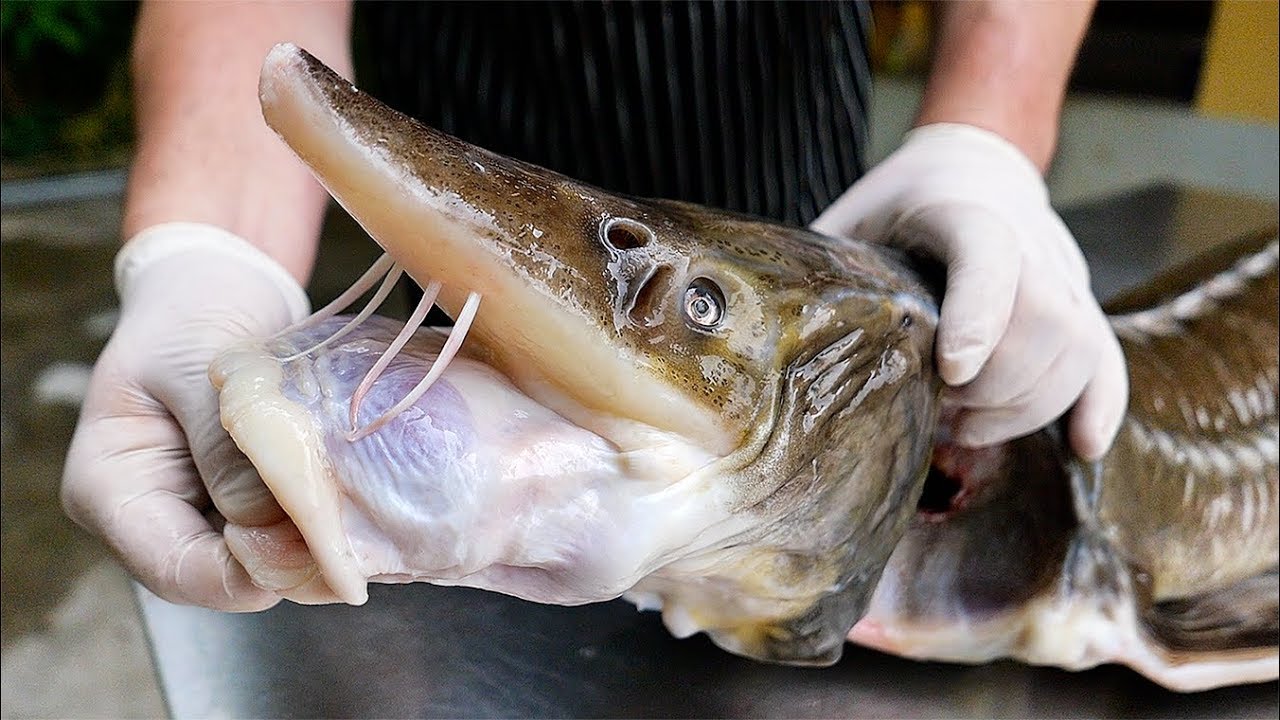 Thai Food - STURGEON FISH & CHIPS Bangkok Seafood Thailand | Travel Thirsty