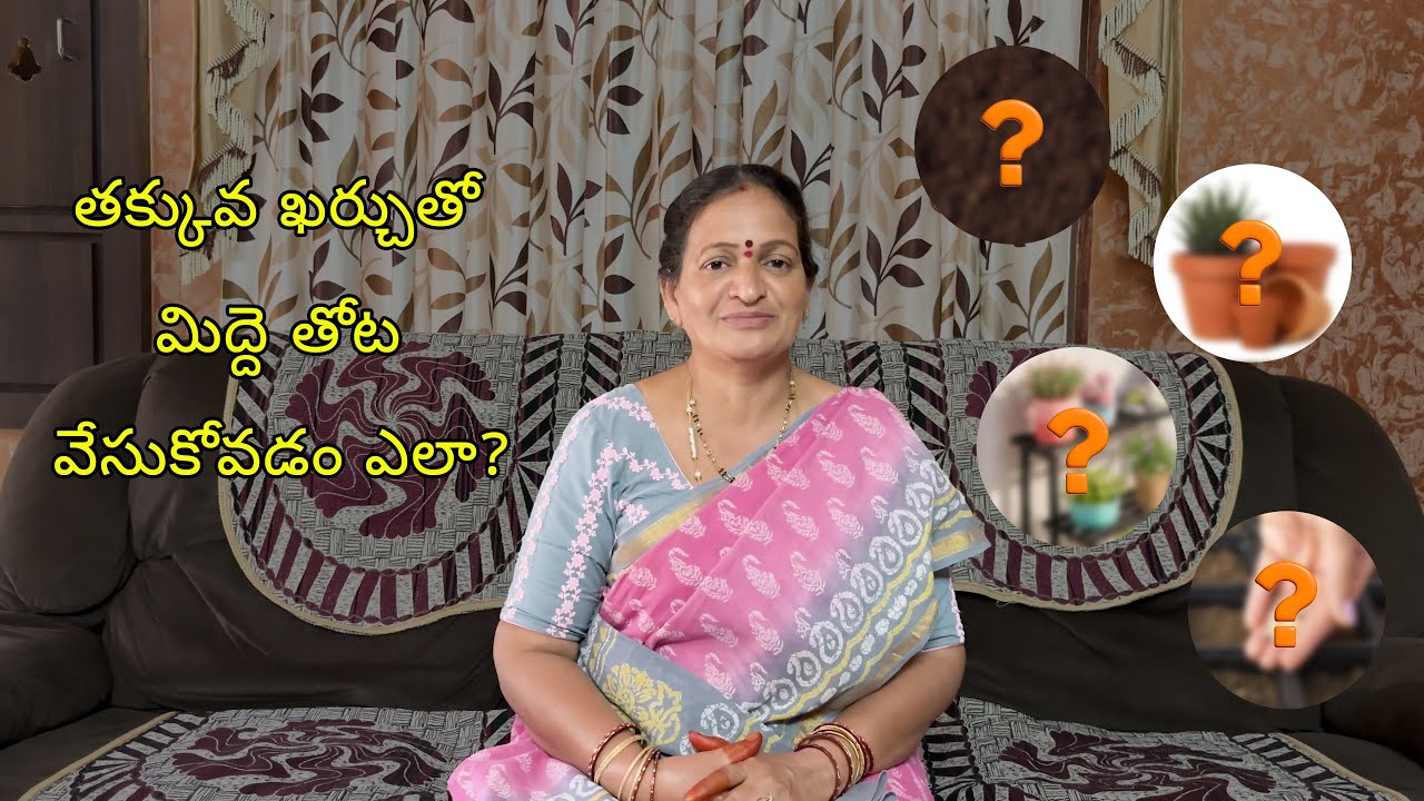 తక్కువ ఖర్చు తో మిద్దె తోట వేసుకోవడం ఎలా?🪴🌱🫚