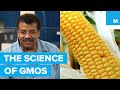 Neil deGrasse Tyson gets to the bottom of GMOs