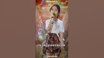 天使的翅膀 Angel