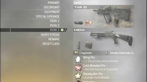 Mw2 top 5 classes