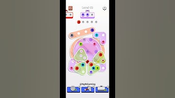 Screw Jam Level 42 | Gameplay Solution