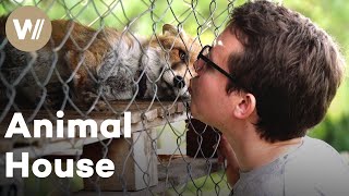 A houseshare with forty-seven animals and a flat where you clean more to pay less | Housemates Ep. 2