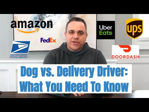 Dog Vs. Delivery Driver: What You Need To Know From A CT Dog Bite Attorney