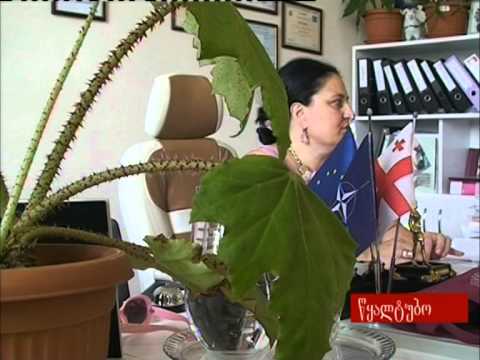 წყალტუბოს N1 საჯარო სკოლა სწავლის დაწყებისთვის მზადაა