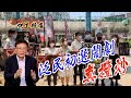 【on.cc東網】阿王辣爆：泛民初選違法　玩殘真選舉搞亂香港