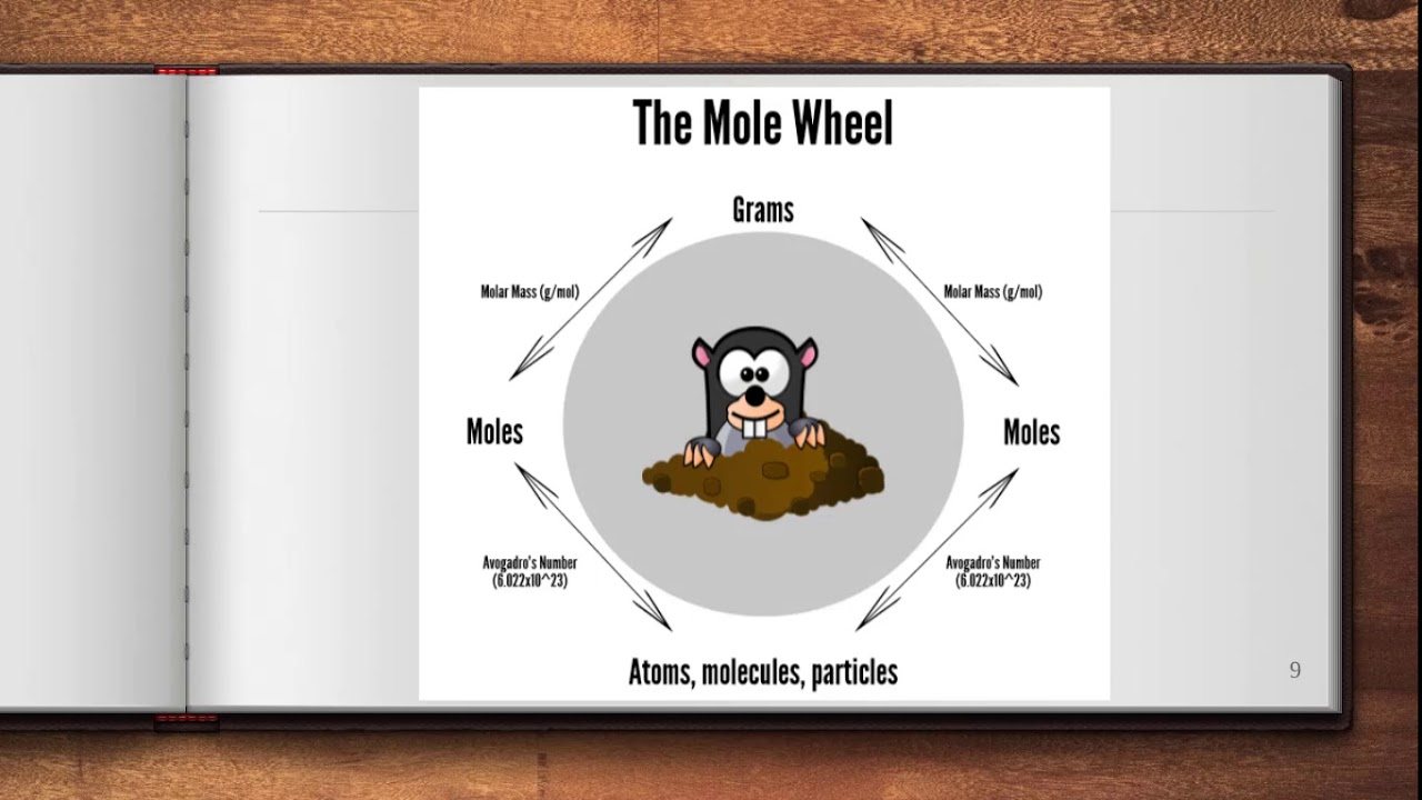 Chemistry: Video 2-5: Moles and Atomic Converstions - YouTube