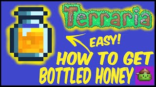 How To Get Bottled Honey In Terraria | Terraria 1.4.4.9