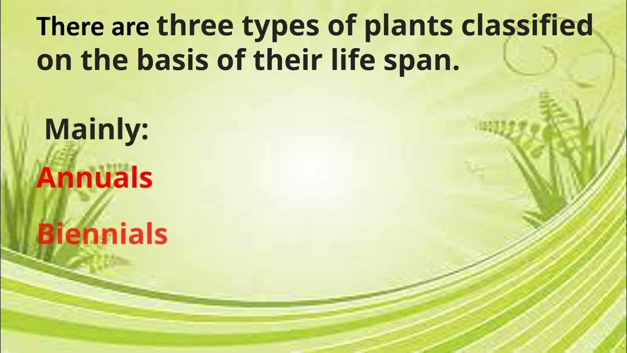 Plant classification based on Life Span Botany Plants