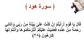 سورة هود الاية 28