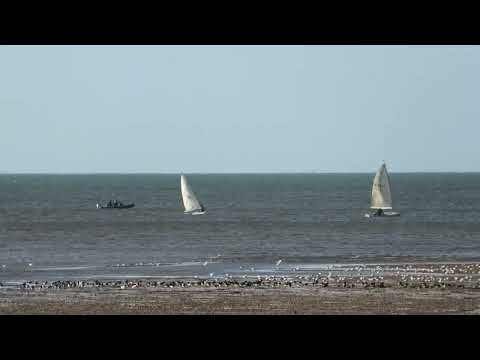 Mudflats & Sail Boats as Sea returns Wolferton Creek Snettisham UK 25aug26 534p v900 2k